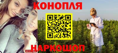индика Лесосибирск